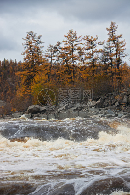 秋天的莫伊罗河和西伯利亚泰加河图片