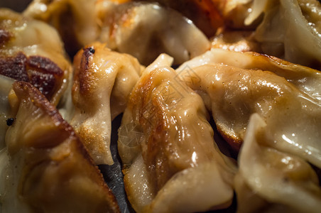 油炸亚洲锅贴猪肉饺子自助餐盘图片