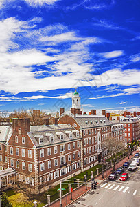 在美国马萨诸塞州桥哈佛大学地区约翰肯尼迪街的空中景象图片