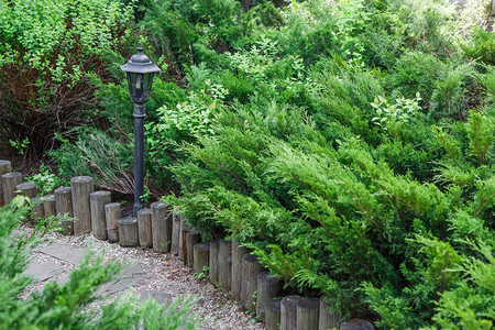 美丽的景观设计带公园灯的花园小径木栅栏常绿灌木和阳光下的灌木现代园林夏季花图片