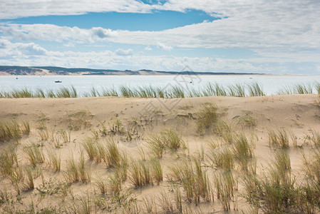 Dune的视野图片