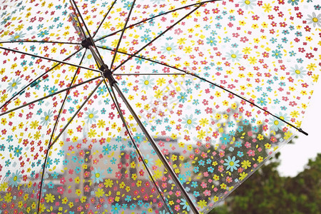 雨滴落在花伞上气候恶劣冬季或保图片