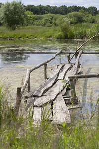 湖上长满草的古老木桥古老的乡村景观图片