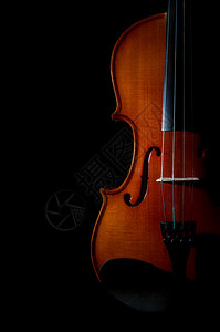 黑色背景上的特写小提琴管弦乐器图片