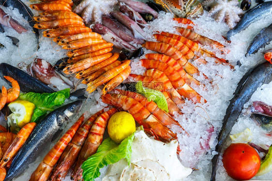希腊克里特海产食品餐厅冰箱中的新鲜海图片