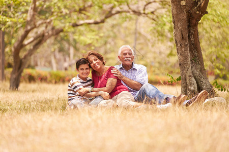 老人老年夫妇老年男女户外家庭与快乐的爷和奶在公园野餐时图片