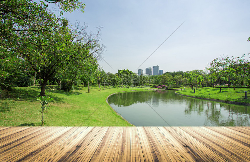 以城市背景为背景的花园上图片