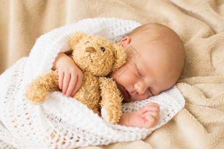 婴儿和泰迪熊一起睡觉图片