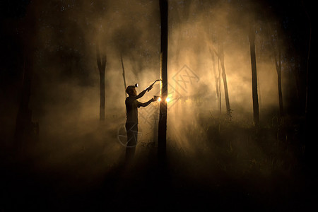 夜间用刀砍塔普橡皮树的工图片