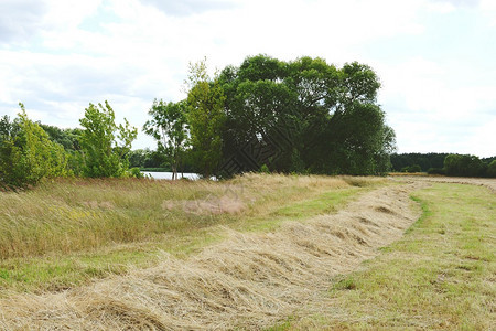 哈维尔河的草原景色夏天古图片