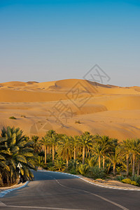 Liwa绿洲的沙漠丘阿拉伯联合酋图片