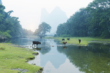 广西风景图片