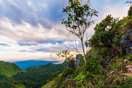 洛基山峰绿林高山下高山图片