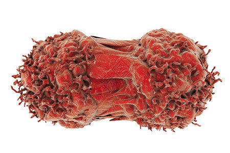 癌症细胞分离肿瘤细胞的倍图片
