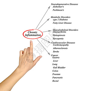 慢炎症示意图图片