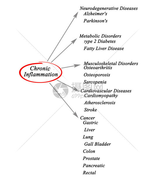 慢炎症示意图图片