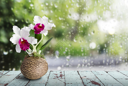 雨天木桌上的卡特兰花图片