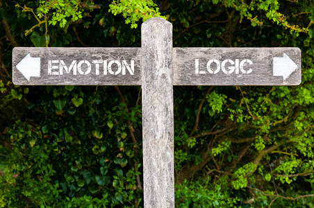 绿叶背景上两支反箭的木制路标柱Emotion与Lologic方向标志图片