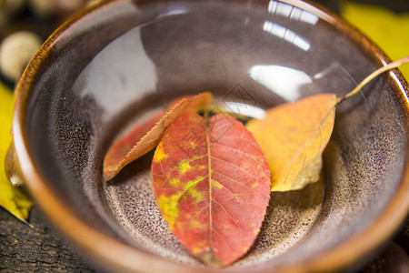 在陶器的红色和黄色秋叶图片