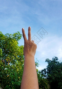 一只手在蓝天和树上做和平标志背景图片