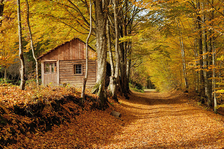 秋冬山峰季节的美丽木屋图片