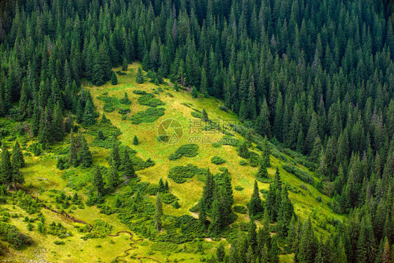 野生自然景观高山斜坡未开发的土地图片