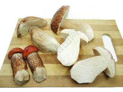 砧板上的新鲜食用森林蘑菇背景图片