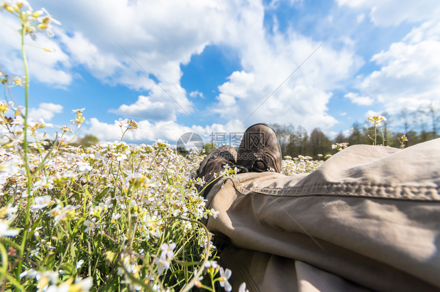 绿色直播助力低碳经济推动社会进步