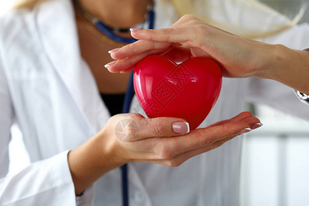 女医学生手拿着和覆盖红色玩具心脏特写心脏治疗师学生教育医生做心脏生理心率测量图片