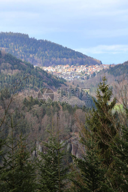Bernbach镇黑森林的展望图片