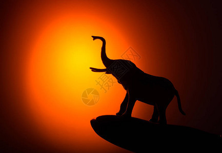 日落背景上的剪影大象图片