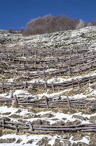 保加利亚欧罗普Europ和保加利亚山坡的木林篱笆图片