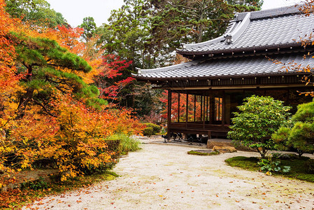 天珠日本京都Tenjuan寺庙建筑拥有美背景