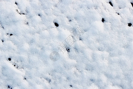 白雪的纹理就像覆盖了图片