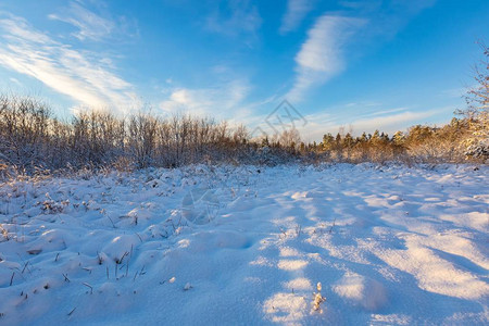 冬季日出风景有新鲜的雪下雪覆图片