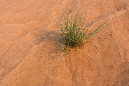 日落时迪拜沙漠丘特写图片