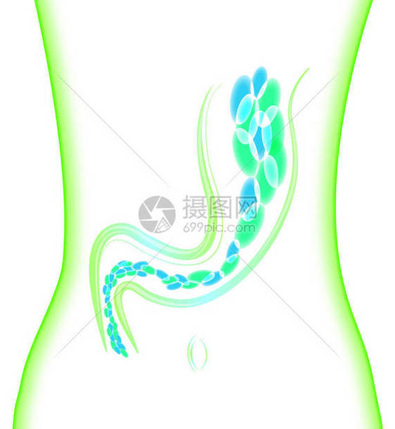 实验细菌微生物组织细菌肠道防图片