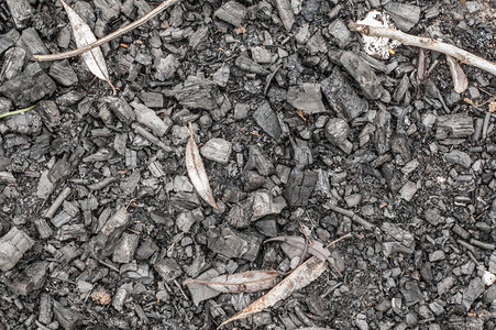 黑灰或木炭质地背景烧焦的木柴图片