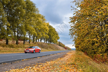 空荡的柏油路穿过秋天的树林和模糊的红色汽车秋天的景色与森林中的道路美丽的风景空旷的道路在秋天和树林里秋季森林中的柏图片