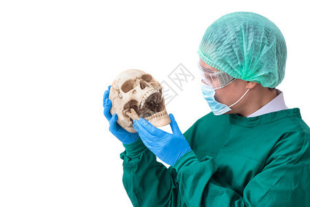 亚洲外科医生身着防护服手持人造头骨的图片