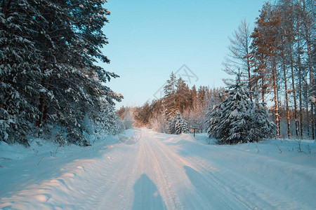 寒冬路日落时雪覆盖森林横角圆形图片