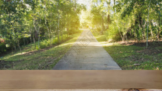 春季森林沥青路Blur图像图片