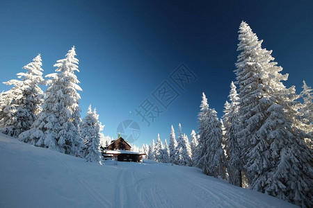 山中的小屋被冬天的景色所环绕图片