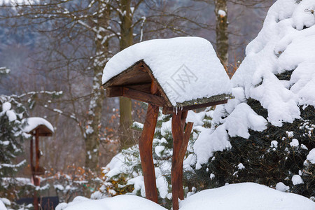 雪天冬季花园安装的鸟屋木图片