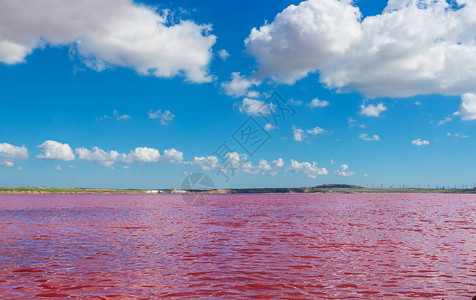 卤猪耳朵阿塞拜疆的粉红色盐湖Masazirgol世界上八个粉背景