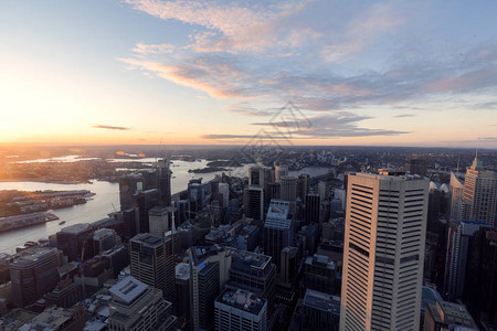 悉尼天际线的鸟瞰图图片