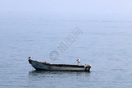 加利海岸的一艘渔船图片