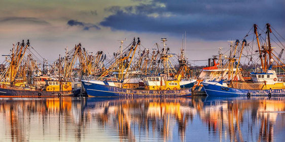 Lauwersoog的渔船它拥有荷兰最大的捕鱼船队之一渔业主要集中在瓦登西海域捕捞贻贝牡蛎图片