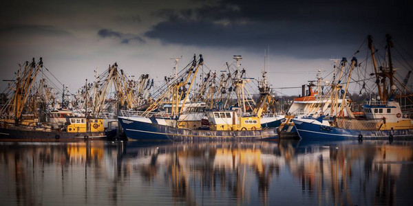 Lauwersoog的渔船它拥有荷兰最大的捕鱼船队之一渔业主要集中在瓦登西海域捕捞贻贝牡蛎图片