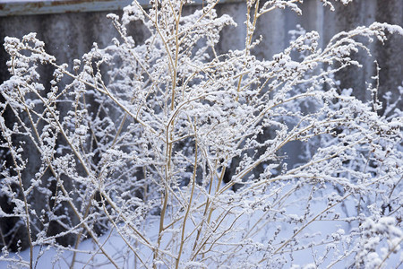 雪冻寒冷的冬天附近图片